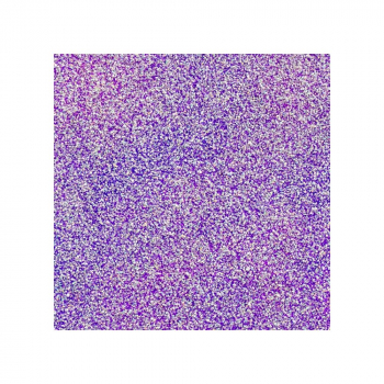 WOW! Ebossingpulver - The Violetera